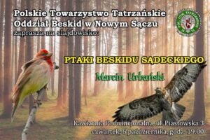 Read more about the article 6.10.2022 – Slajdowisko „Ptaki Beskidu Sądeckiego”