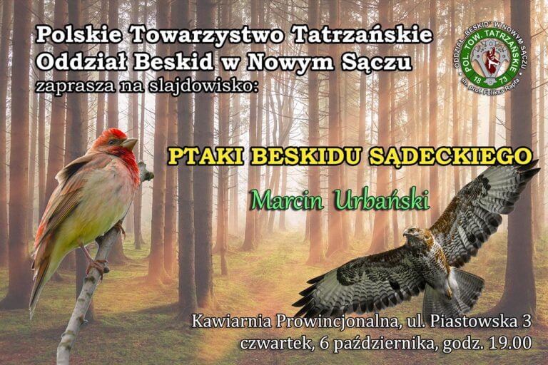 Read more about the article 6.10.2022 – Slajdowisko „Ptaki Beskidu Sądeckiego”