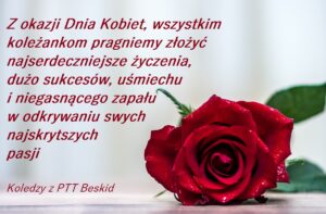 Read more about the article 8 marca obchodzimy Dzień Kobiet